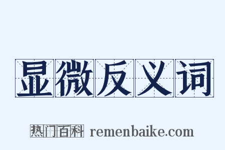 显微反义词是什么意思的图片